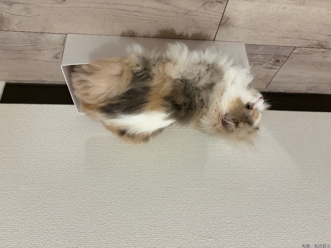 ブログ画像