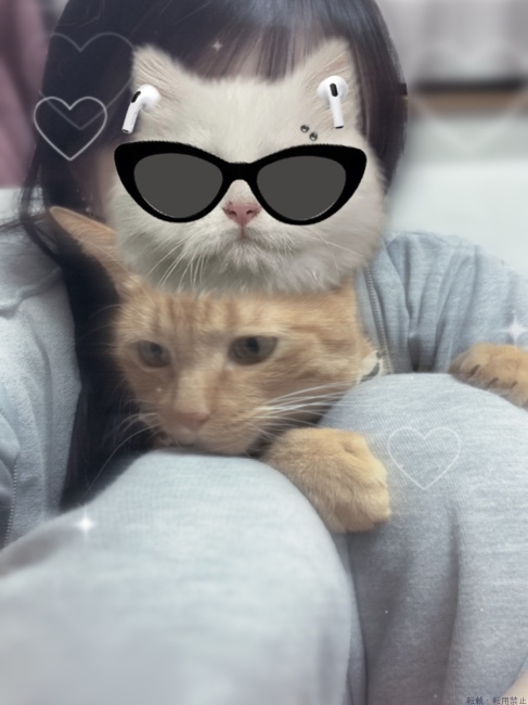 ブログ画像