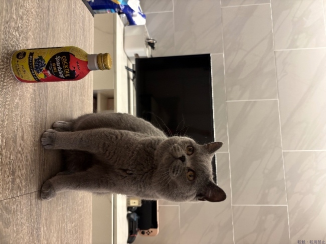 ブログ画像