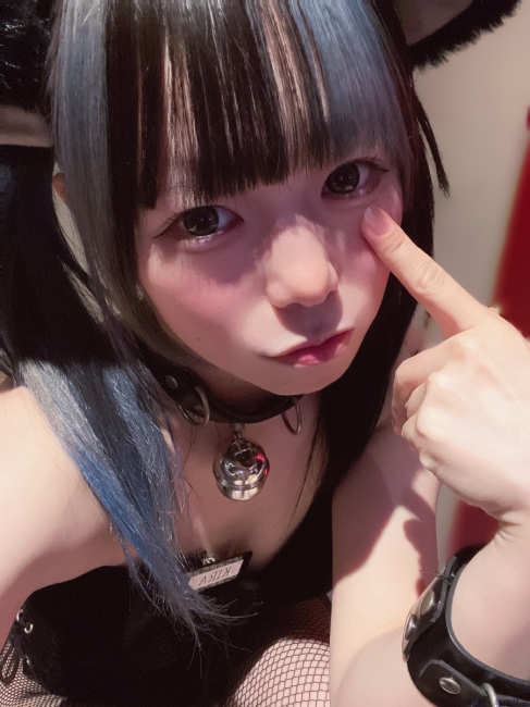 ブログ画像