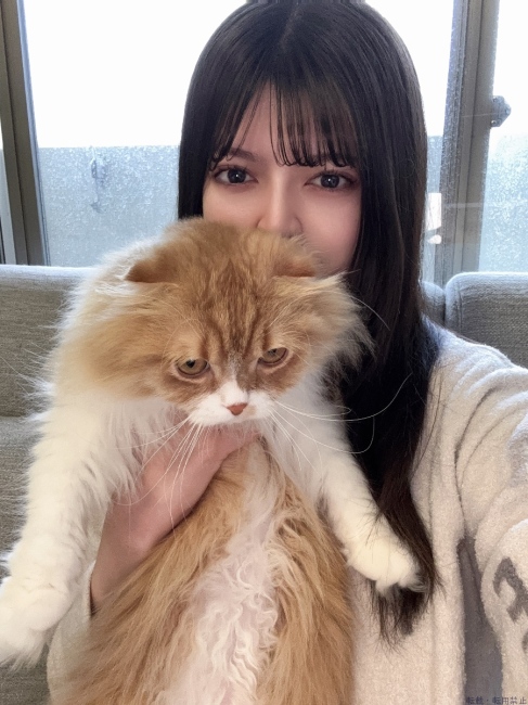 ブログ画像