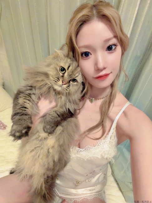 ブログ画像