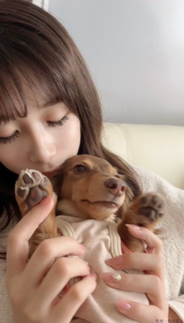 ブログ画像