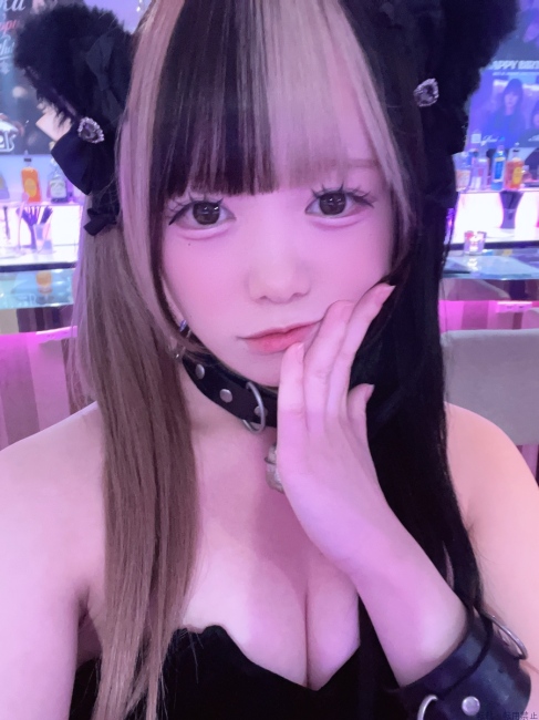 ブログ画像