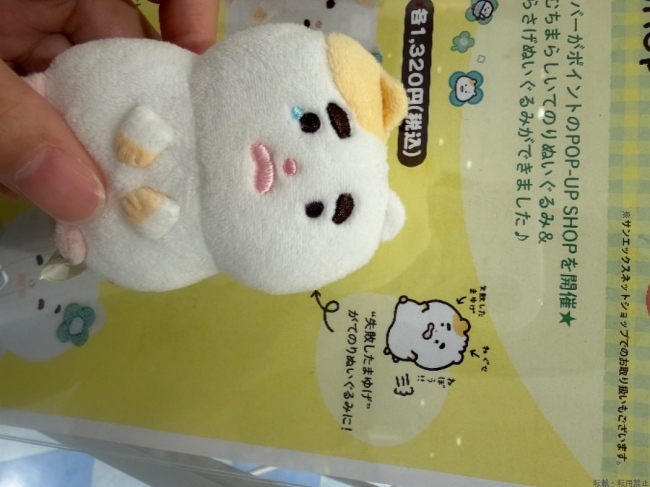 ブログ画像