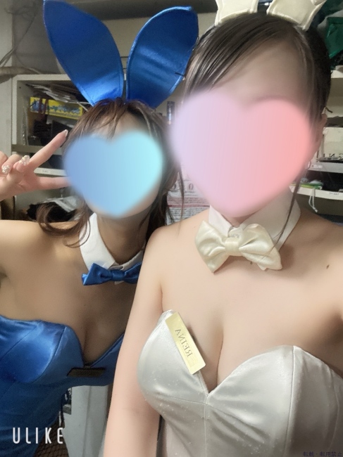 ブログ画像