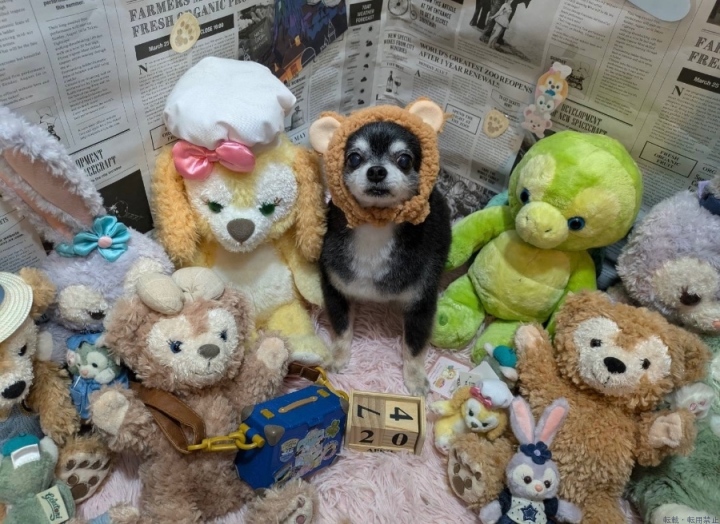 ブログ写真