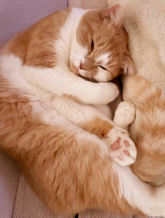 ブログ写真