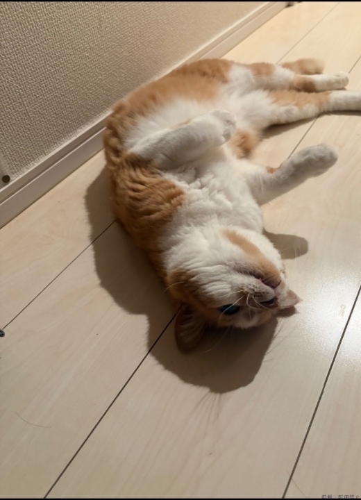 ブログ写真