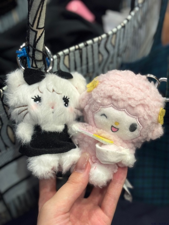 ブログ写真
