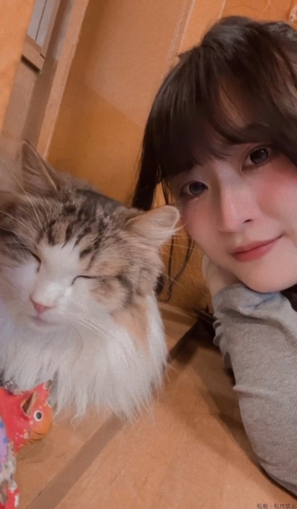 ブログ写真