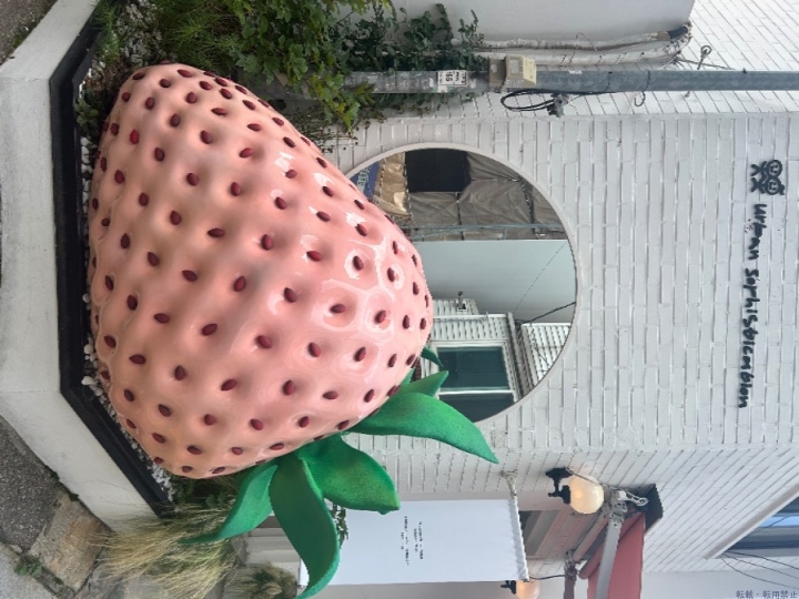 ブログ写真