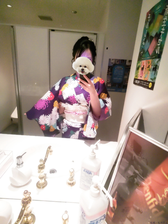 ブログ写真
