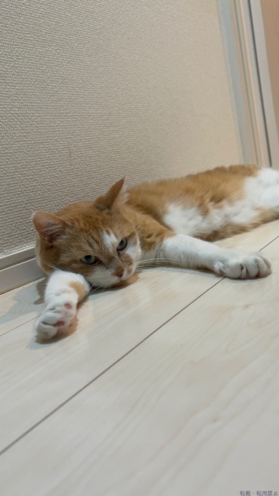 ブログ写真