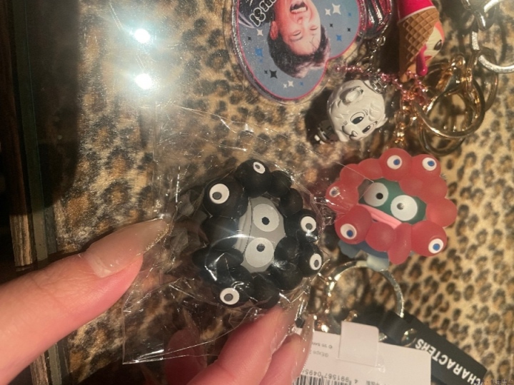 ブログ写真