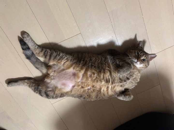 ブログ写真