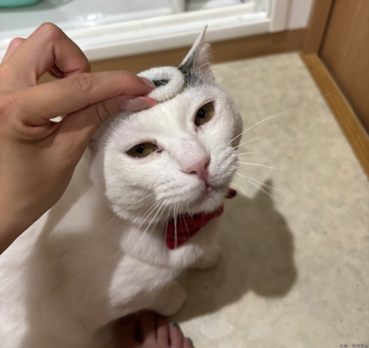 ブログ写真