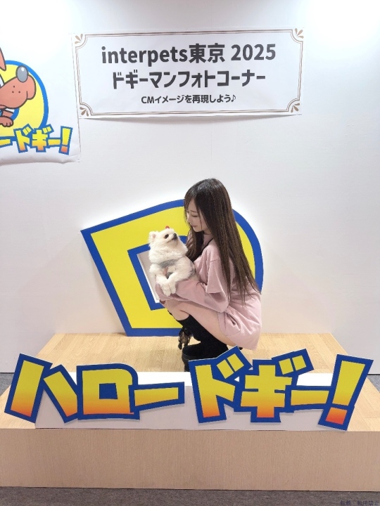 ブログ写真