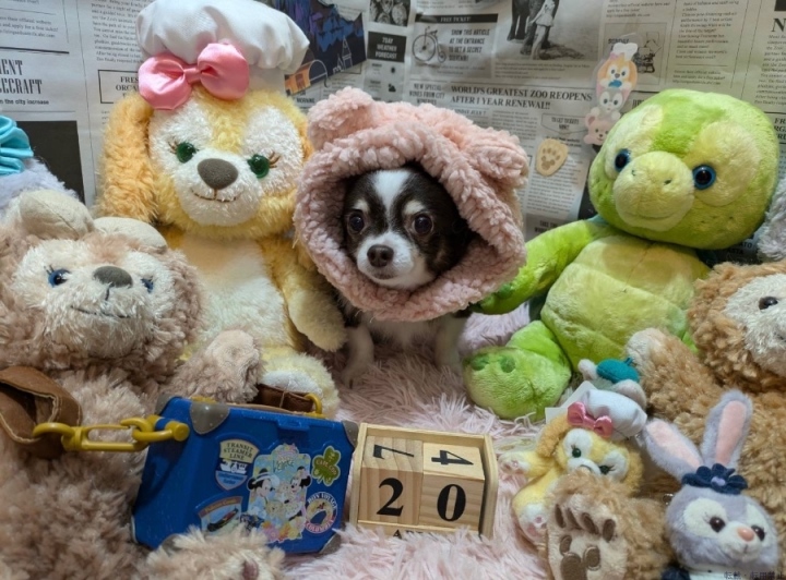 ブログ写真