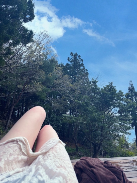 ブログ写真