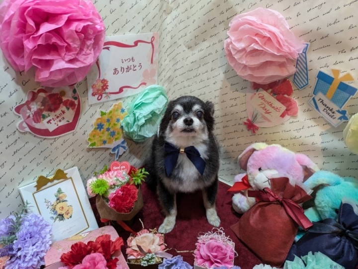 ブログ写真