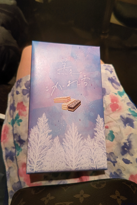 ブログ写真