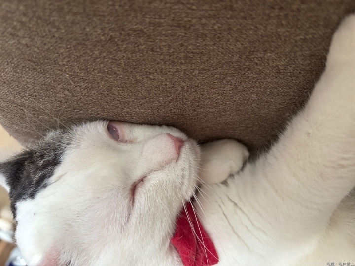 ブログ写真
