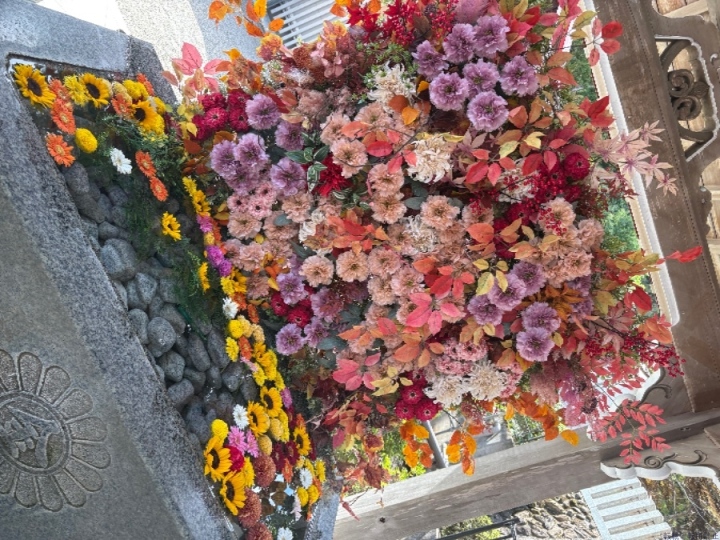 ブログ写真