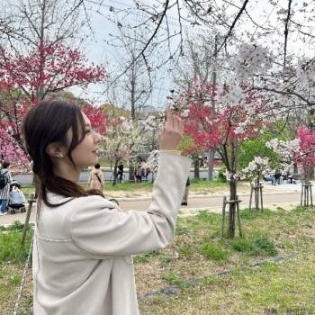あみ