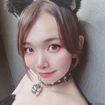 きゃっとはち