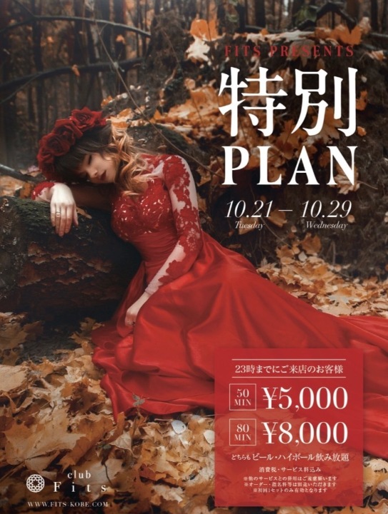 フィッツ特別PLAN