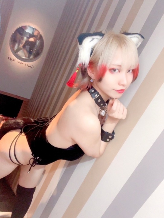Cat  こはく