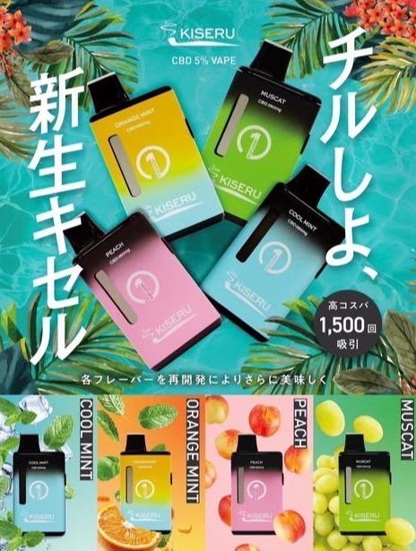 KISERU販売中