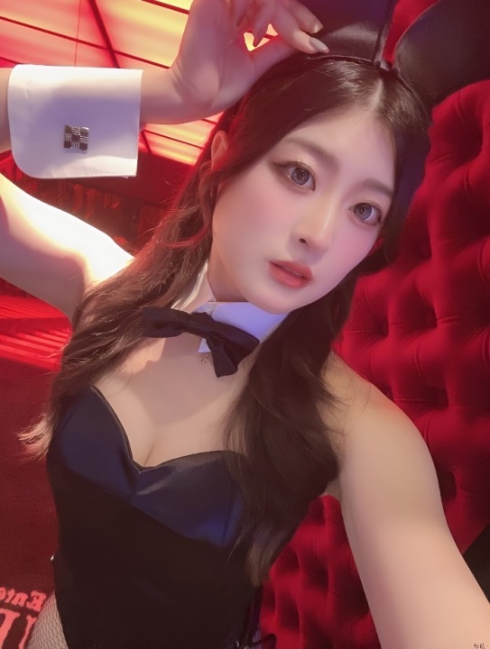 👯‍♀️ Recommended Bunny 👯‍♀️