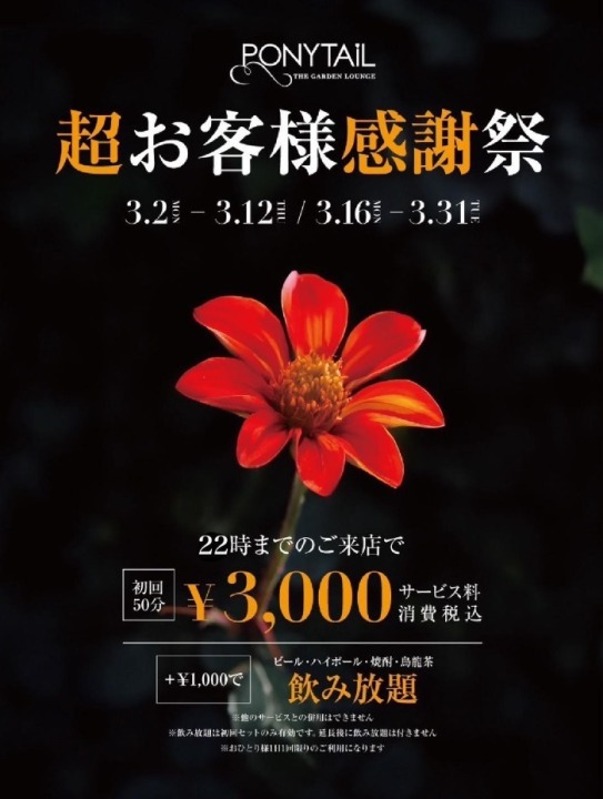 超お客様感謝祭開催中！初回50分3000円！！