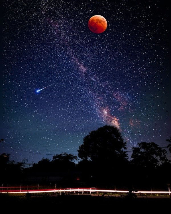 🎑お月見フェア🎑