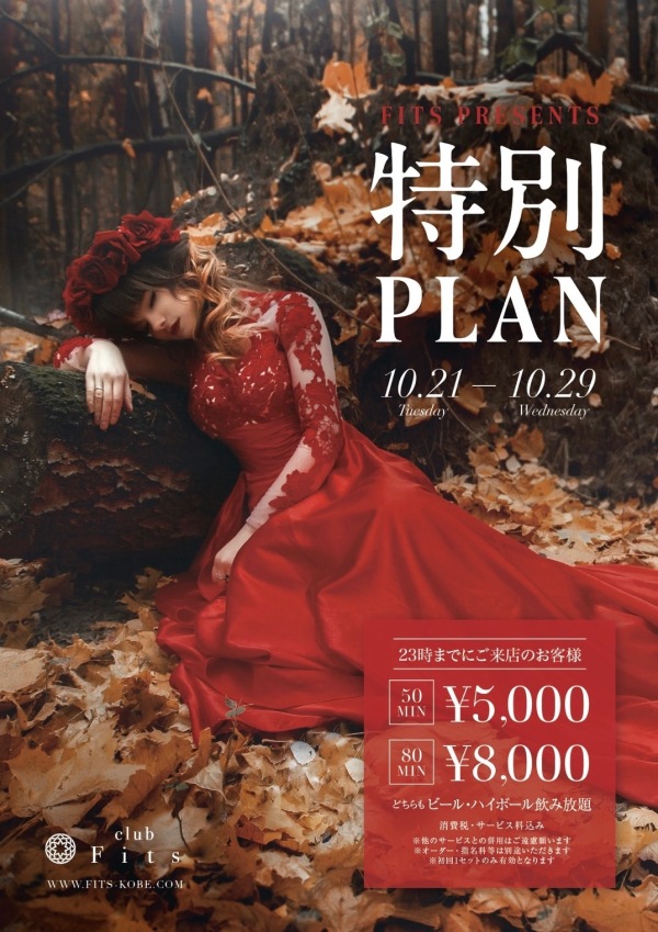 フィッツ 特別 Plan