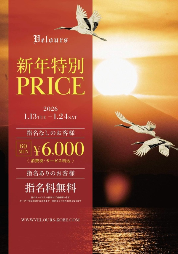 新年特別price