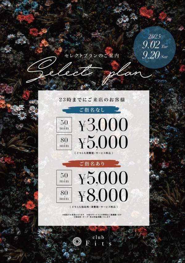 フィッツ セレクトプラン