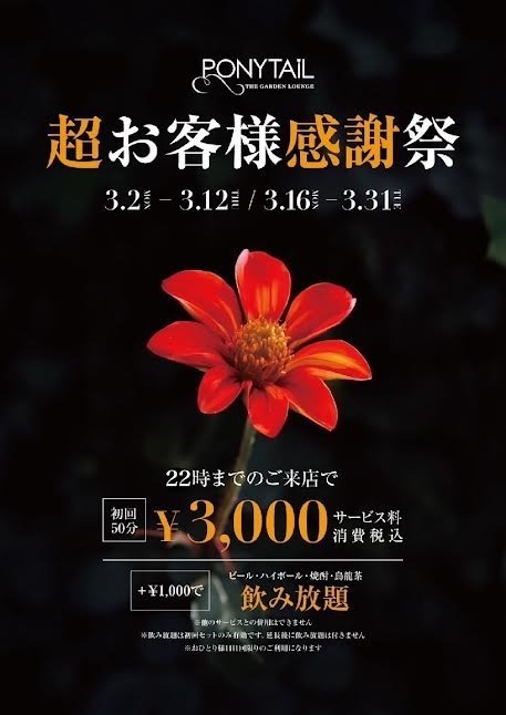 超お客様感謝祭開催中！！